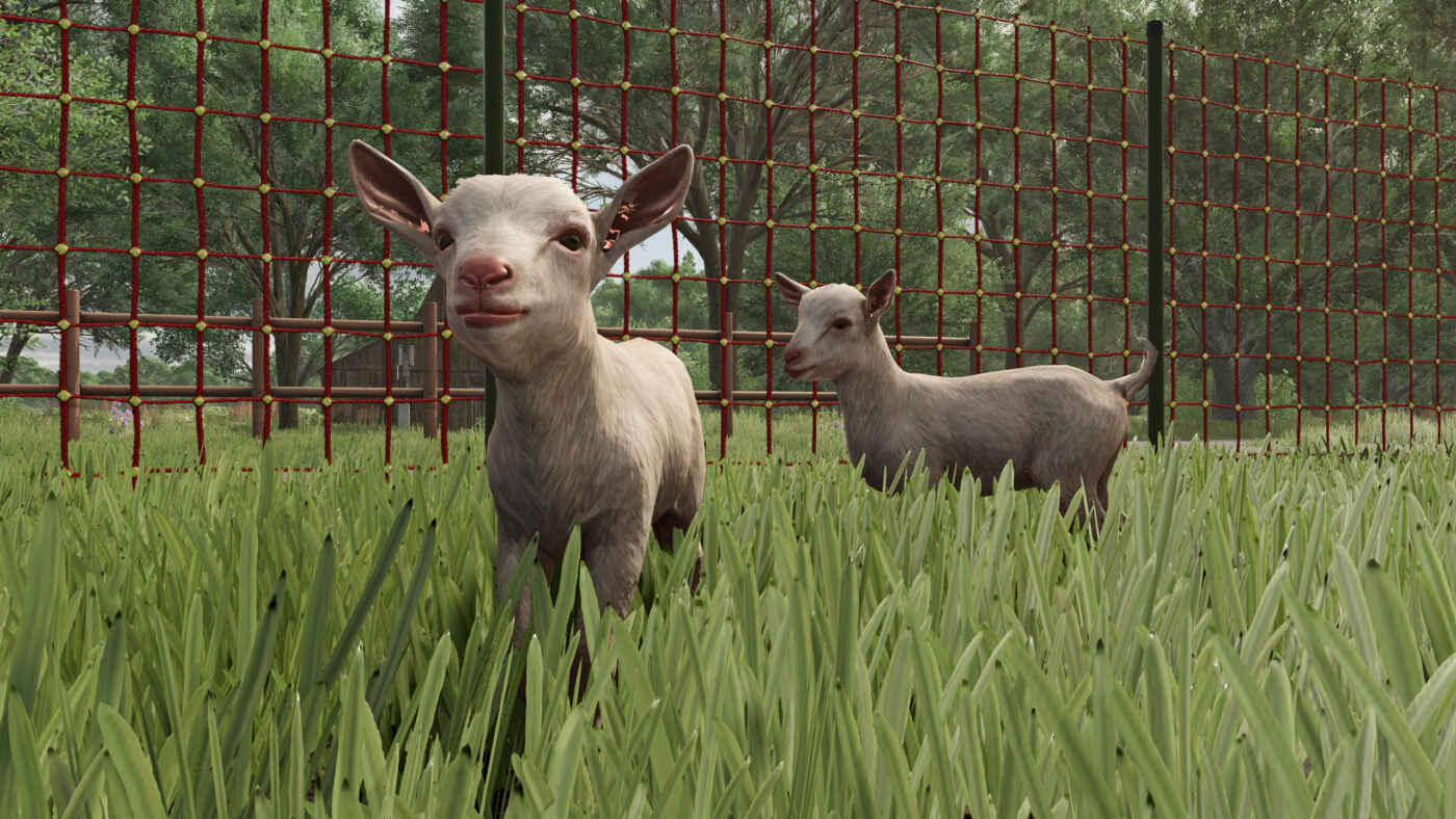 Cabras en Farming Simulator 25
